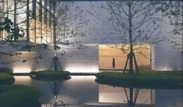 张岚最新爆料消息视频,揭秘视频背后的惊人真相