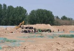 八公山新闻爆料事件最新,真相大白，疑云散去