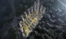 武汉潘大观最新爆料,揭秘武汉重大事件背后真相