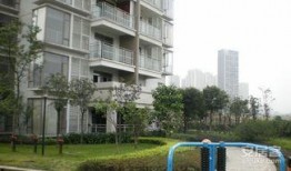 重庆花园爆料视频最新版,惊人内幕大曝光