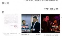 八卦最新爆料视频,揭秘明星幕后故事，独家视频大揭秘！